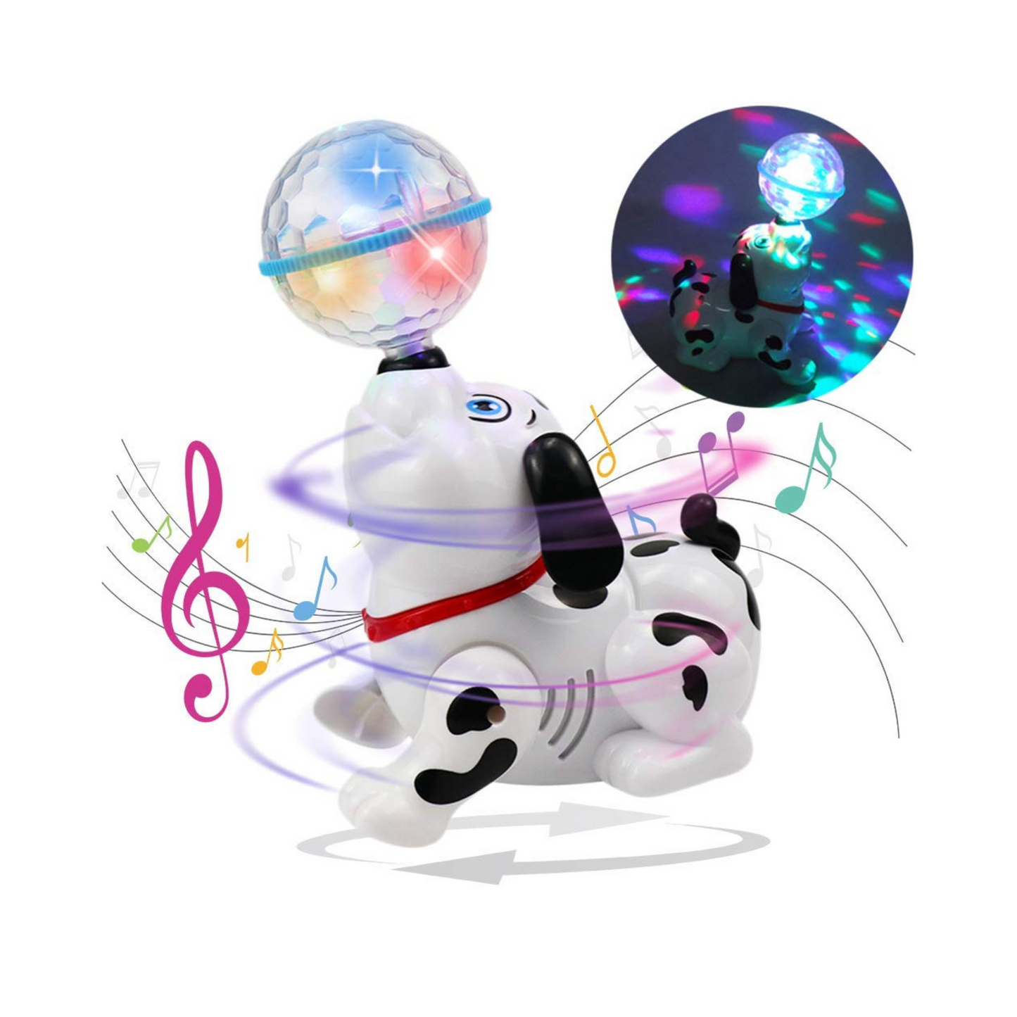 The Sensory Explorer Bundle