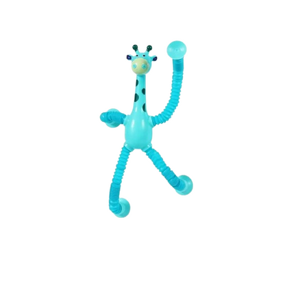 The Sensory Explorer Bundle