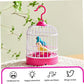 Talking Bird Toy for Kids | Interactive Toy & Repeat What You Said | Singing & Chirping in The Birdcage