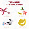 The Sensory Explorer Bundle